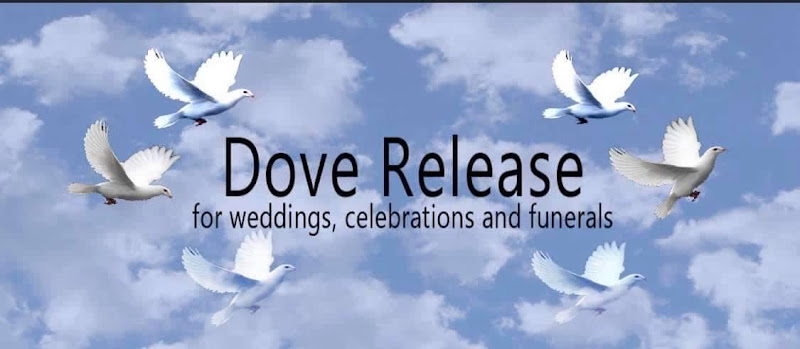 Laramie Lofts Peoria Illinois