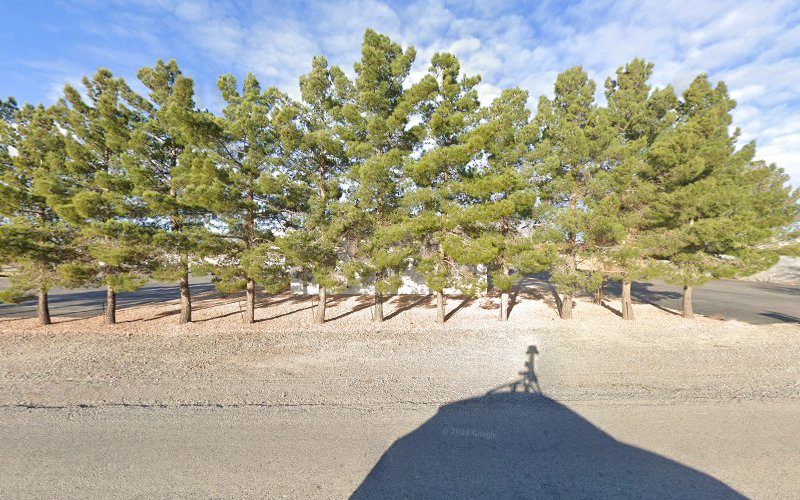 Lee Funeral Home Pahrump Nevada