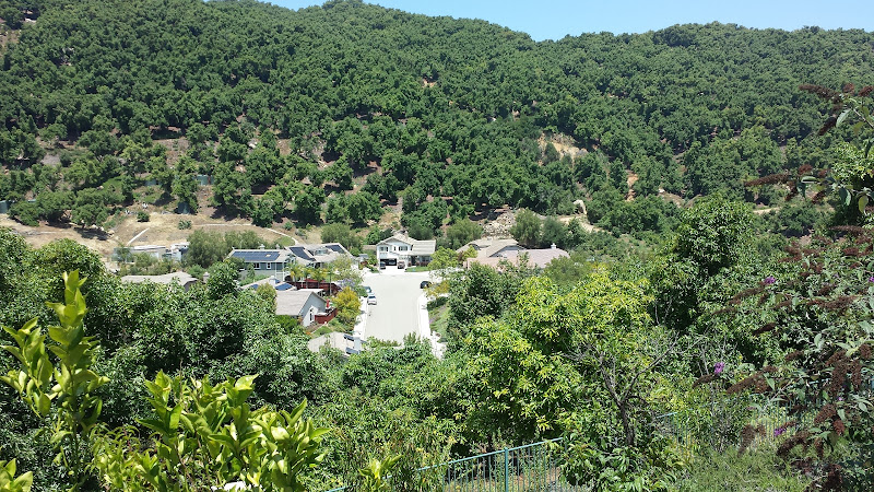 Funeral Services at CALI HOME FUNERAL SERVICES INC in San Diego, California | FuneralHome.site CALI HOME FUNERAL SERVICES INC San Diego California