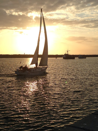 Funeral Services at Nautilus Society in Lawndale, California | FuneralHome.site Nautilus Society Lawndale California