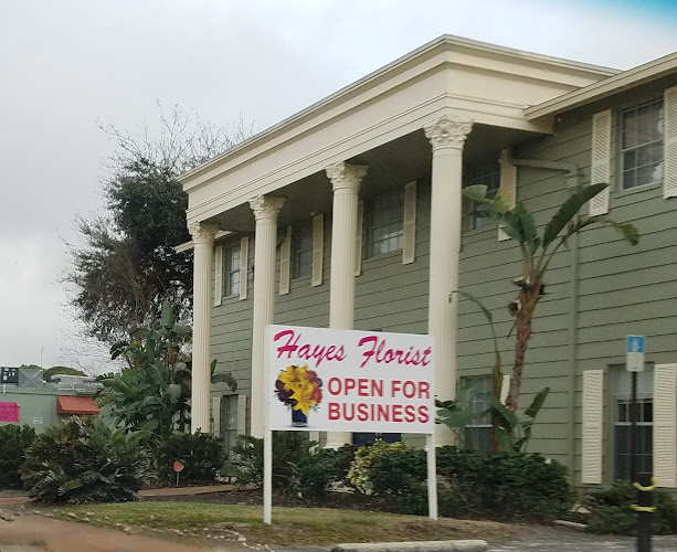Hayes Florist Pinellas Park Florida