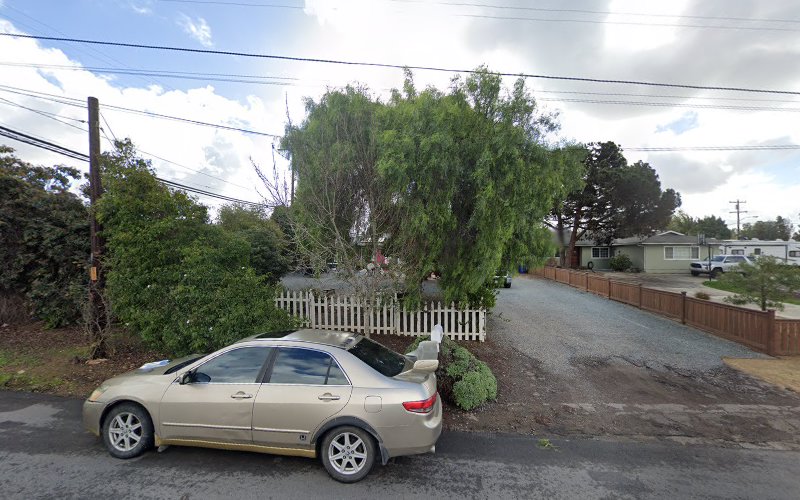 Susans Flying Doves Bonita California