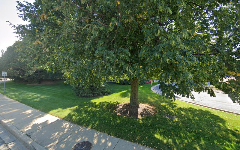 Seymour Mandel Funeral Direction Deerfield Illinois