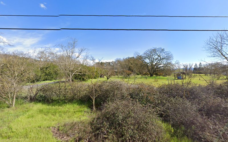 White Dove Release by Nor Cal Lofts Gilroy California