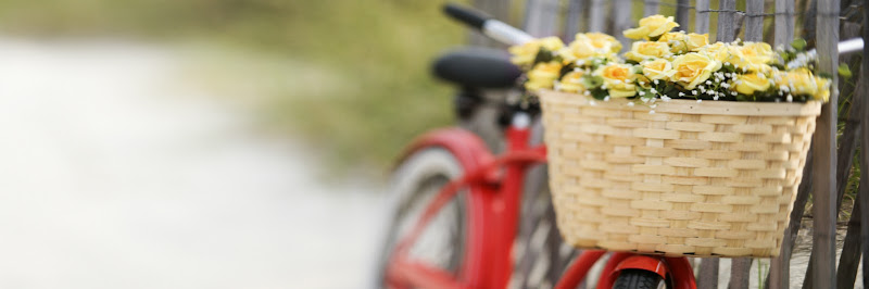 Farrell’s Funeral Service, Inc. Auburn New York