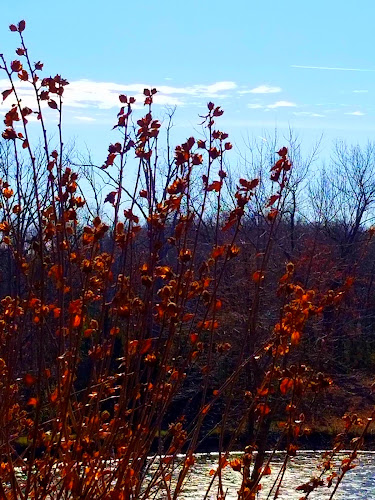 McCoy-Blossom Funeral Homes & Crematory Troy Missouri