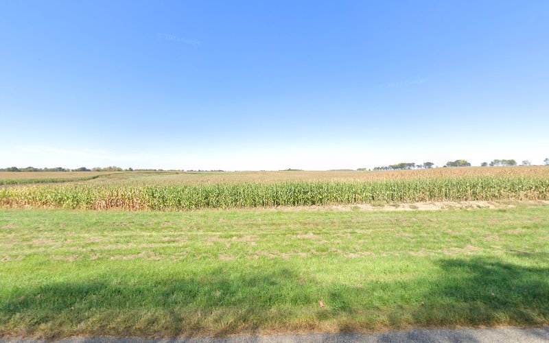 Manns Chapel Cemetery Alvin Illinois