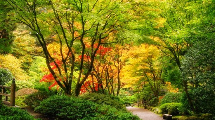 Funeral Services at Fiocchi-Jensen Funeral Home in Princeton, Illinois | FuneralHome.site Fiocchi-Jensen Funeral Home Princeton Illinois