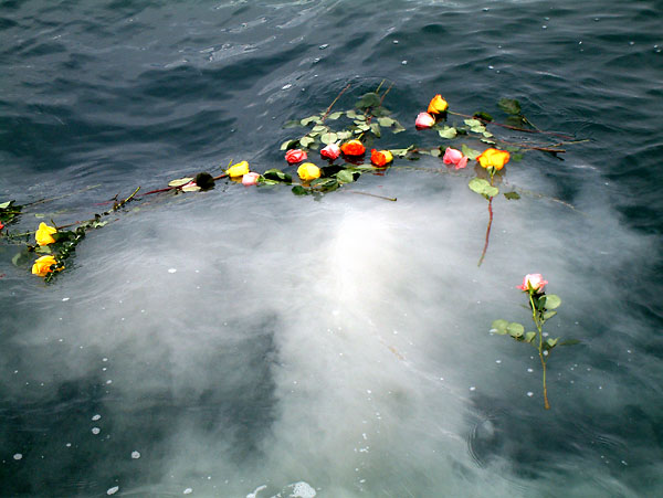 Funeral Services at Florida Ashes at Sea – Stuart in Stuart, Florida | FuneralHome.site Florida Ashes at Sea – Stuart Stuart Florida