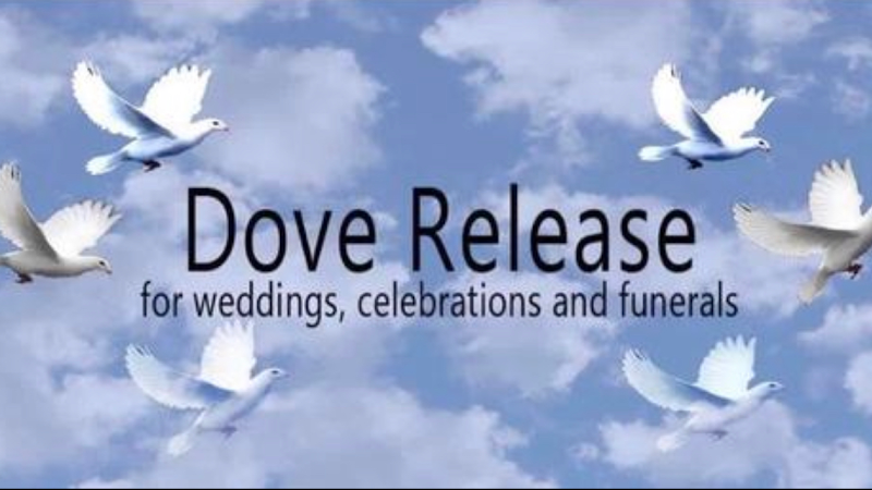 Funeral Services at Laramie Dove Releases in Peoria, Illinois | FuneralHome.site Laramie Dove Releases Peoria Illinois